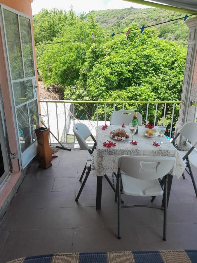 La Belle Du Sud Villa Port South East Dış mekan fotoğraf